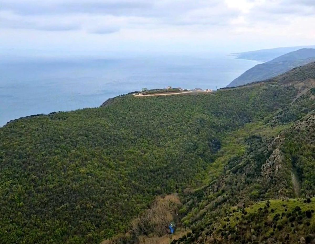 Tekirdağ'da ormanlara giriş 12 Hazirandan itibaren yasaklandı