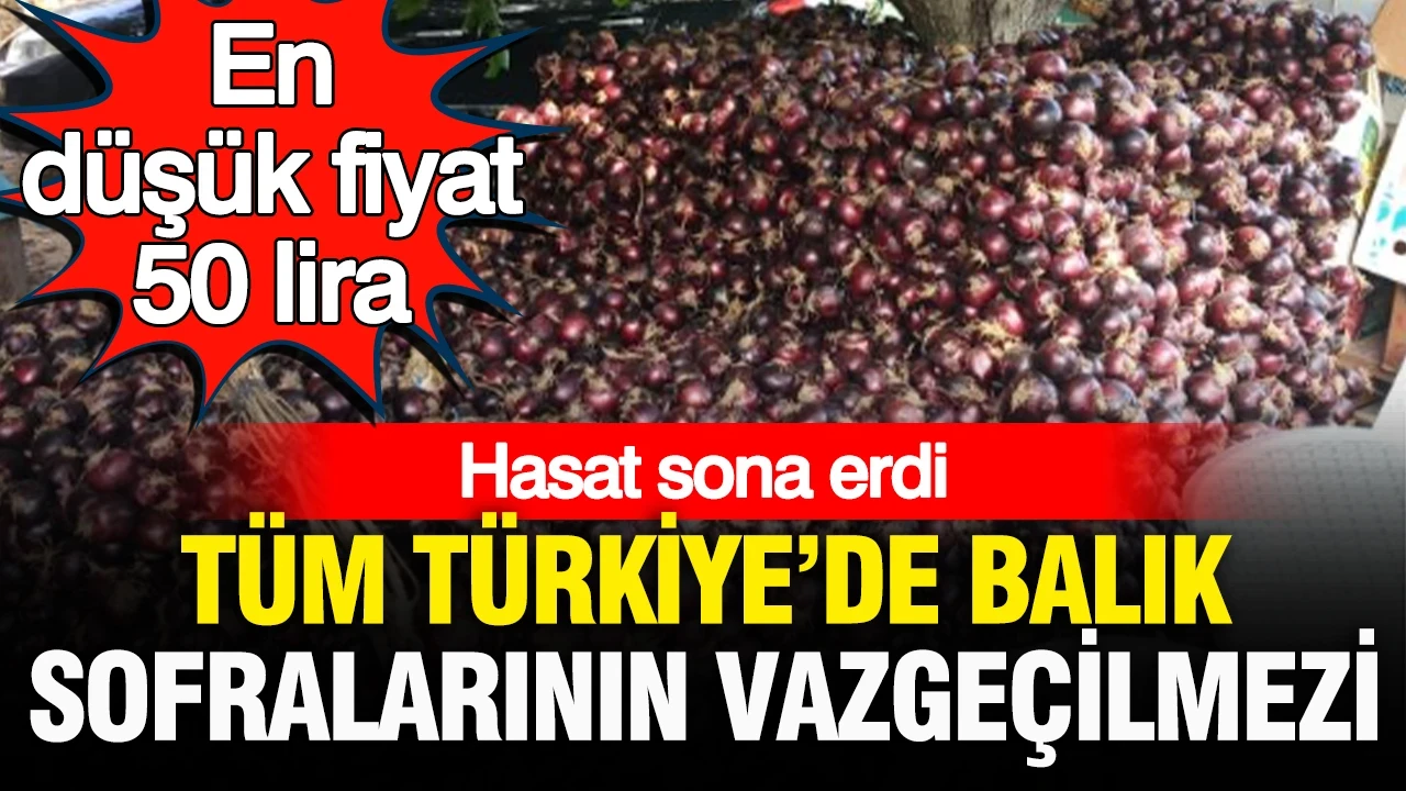 Türkiye’nin her yerinde balık sofralarının vazgeçilmezi: Hasadı biten coğrafi işaretli soğanda en düşük fiyat 50 lira