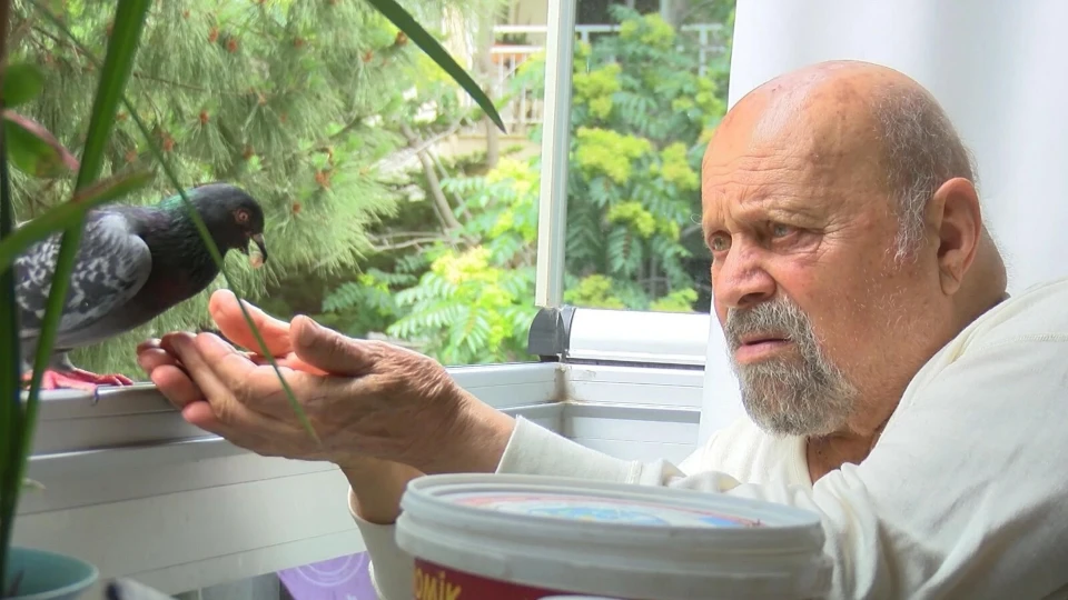 İzmir'deki vefalı dostluk: 90 yaşındaki Gökduman günde iki kez gelen kuşu nohutla besliyor | Aktüel Haberleri