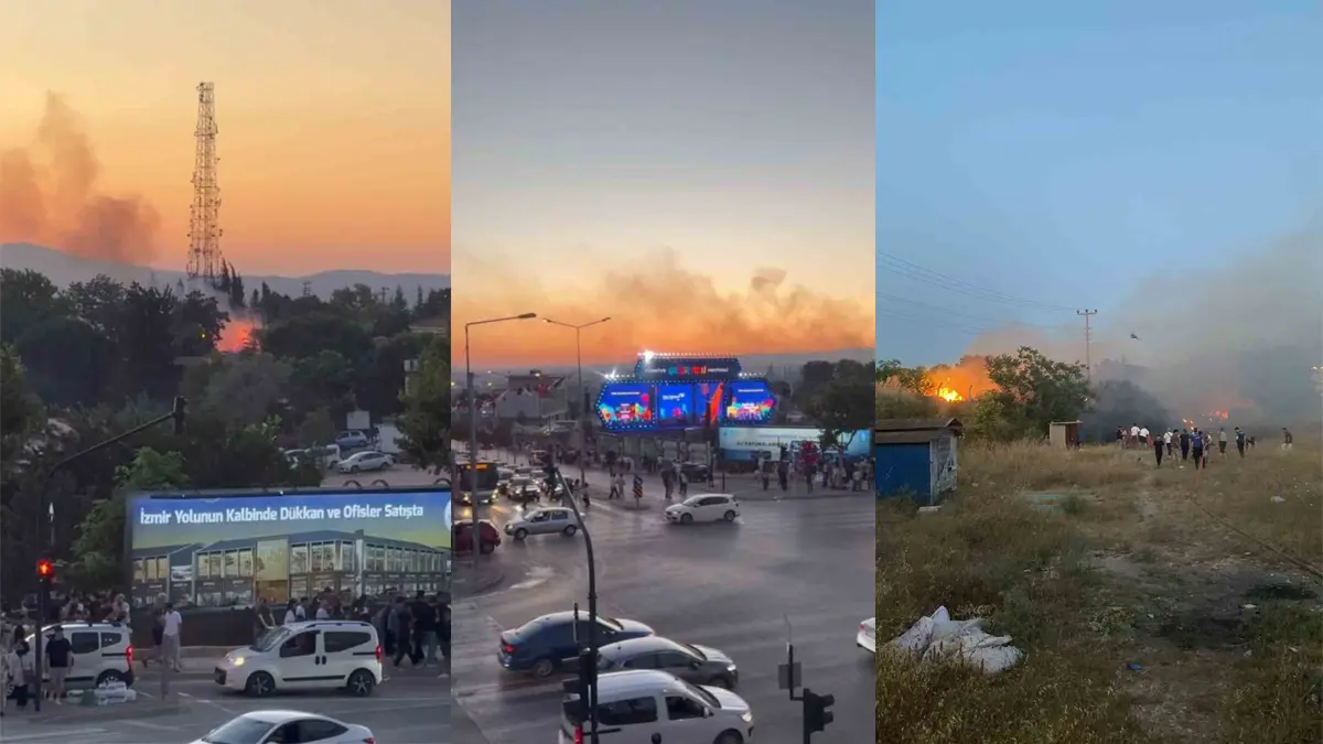 Festival alanının yakınında korkutan yangın! Soruşturma başlatıldı
