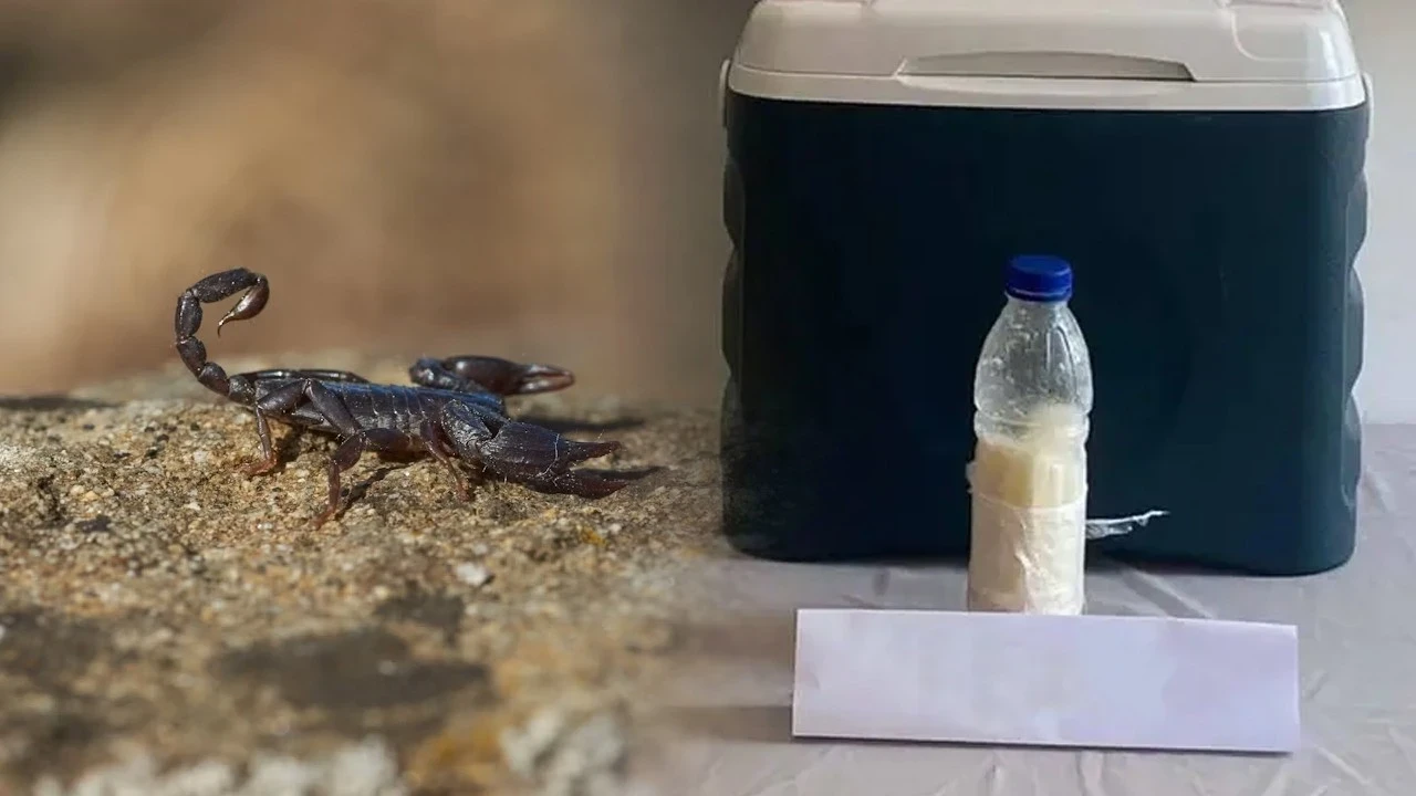 Plastik şişede servet: Gramı altından kat kat değerli: 5 milyon dolar!