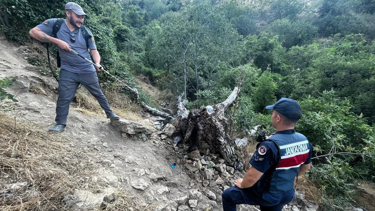 Bilecik’in o ilçesinde çalı yangını