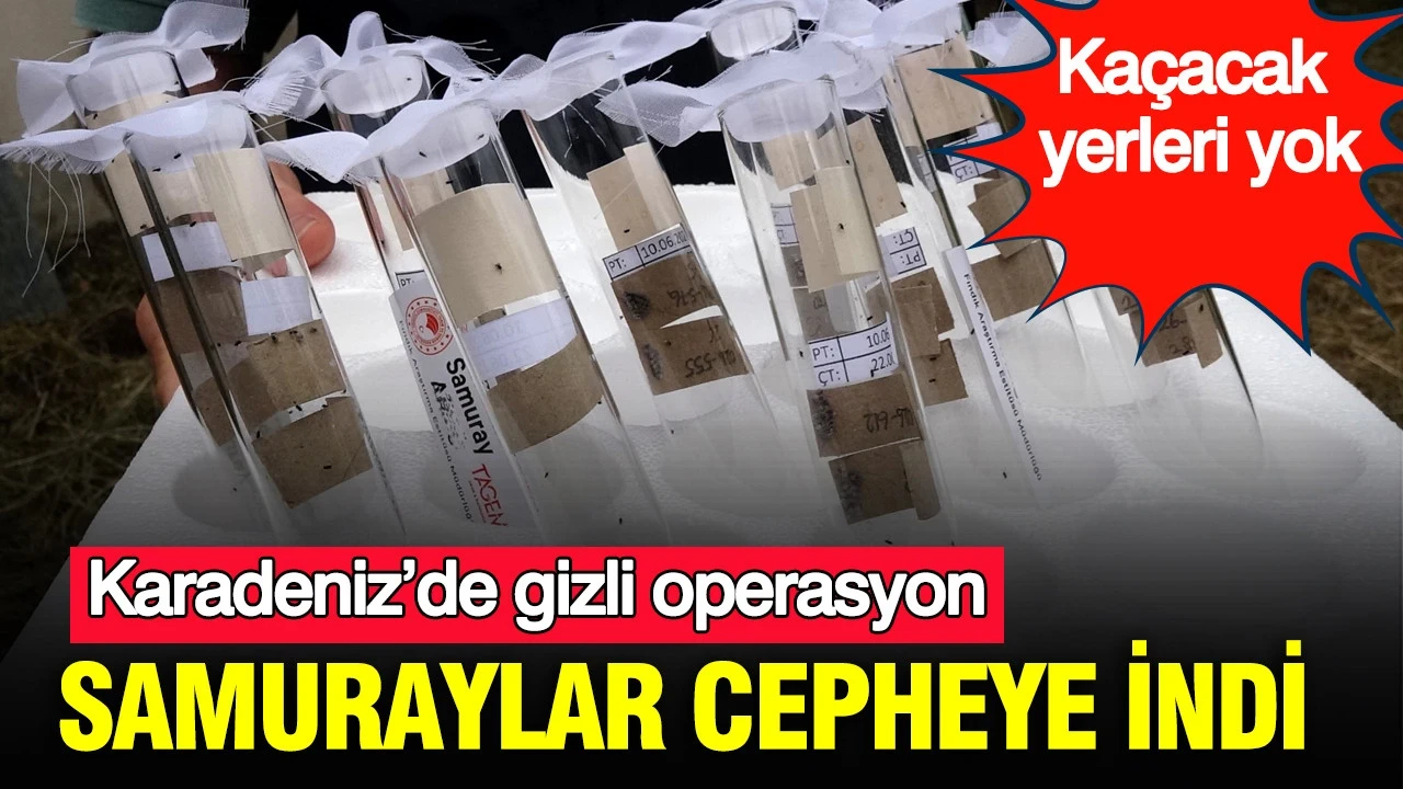 Karadeniz’de gizli operasyon: Kaçacak yerleri yok: Samuraylar cepheye indi