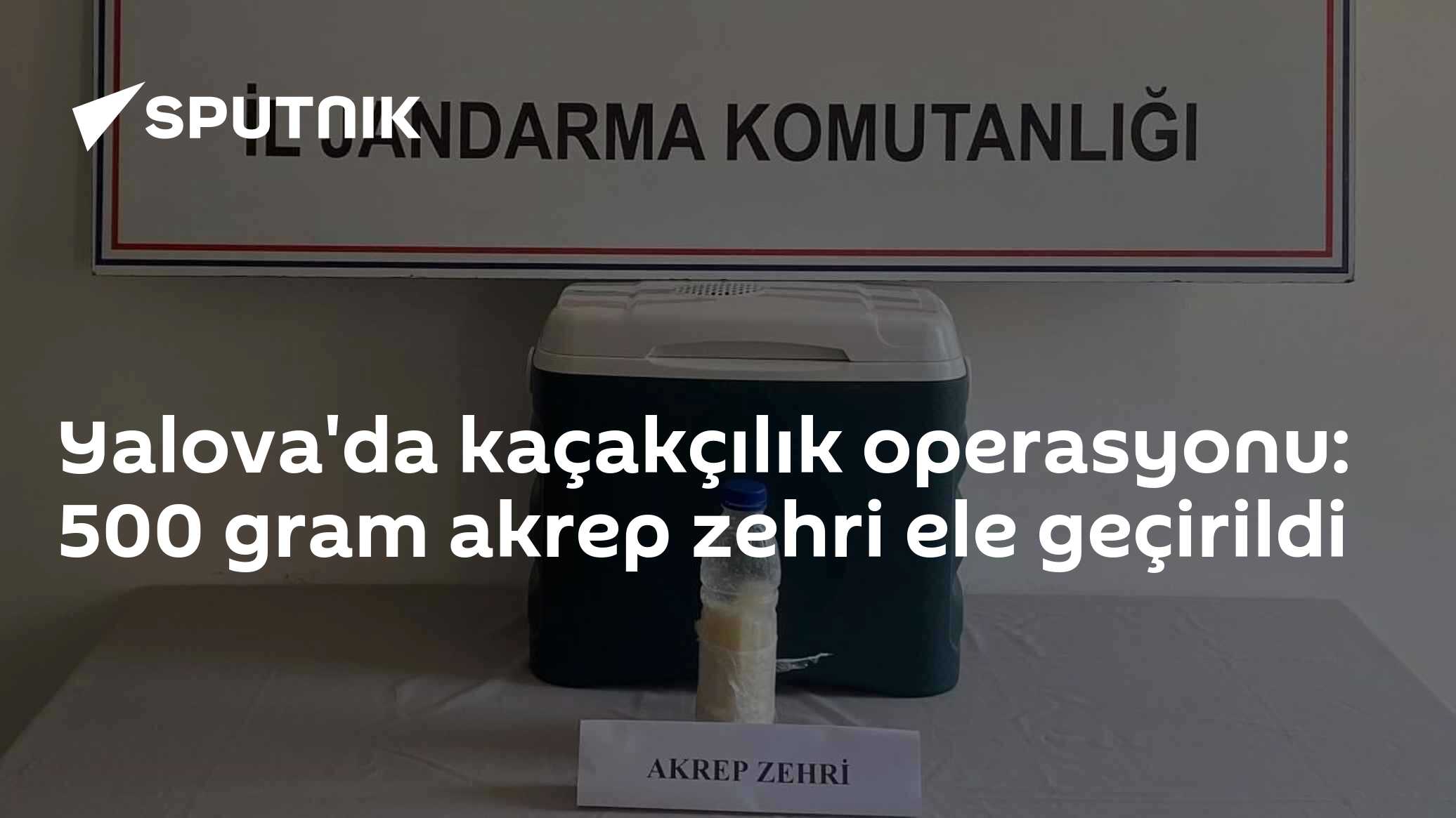 Yalova'da kaçakçılık operasyonu: 500 gram akrep zehri ele geçirildi