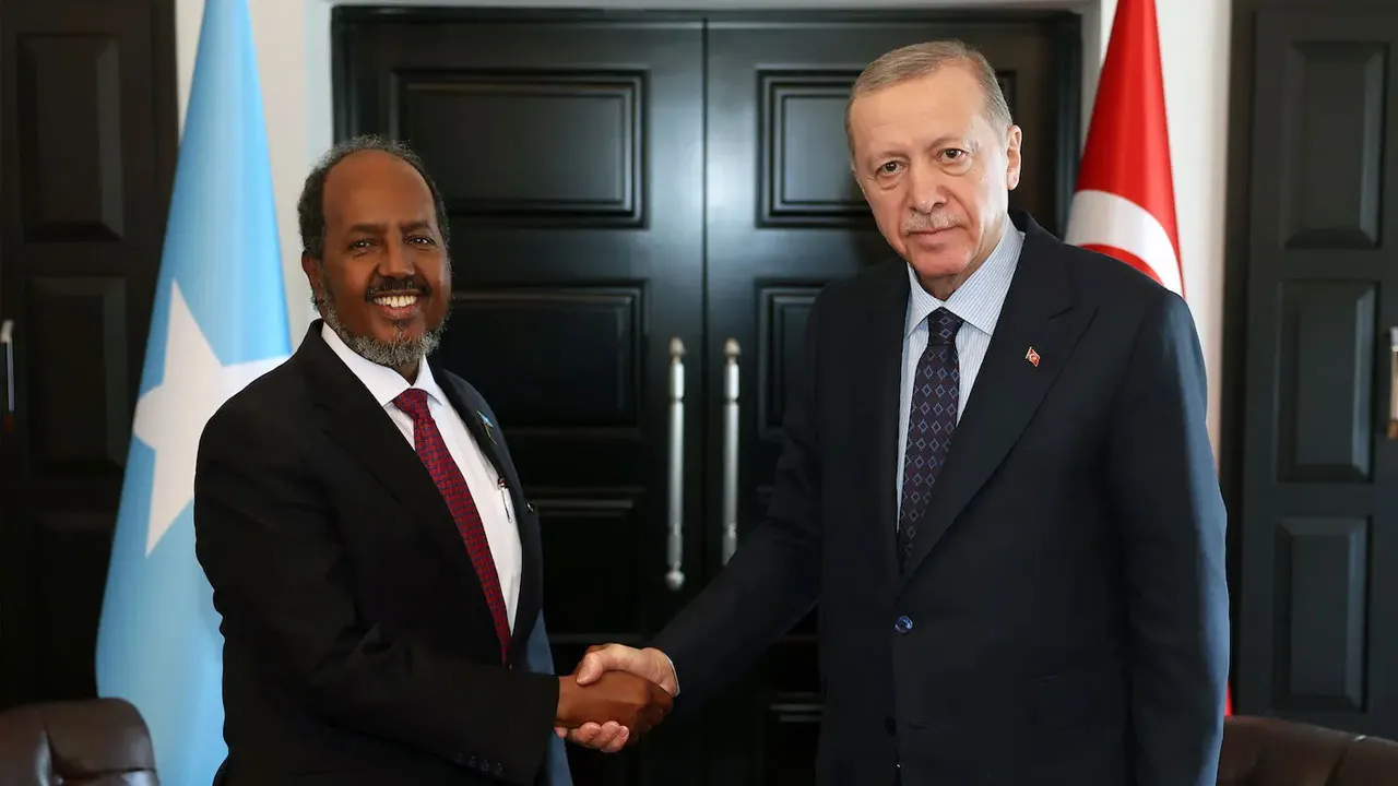 Somali Cumhurbaşkanı: Türkiye'den başka kimimiz var ki?