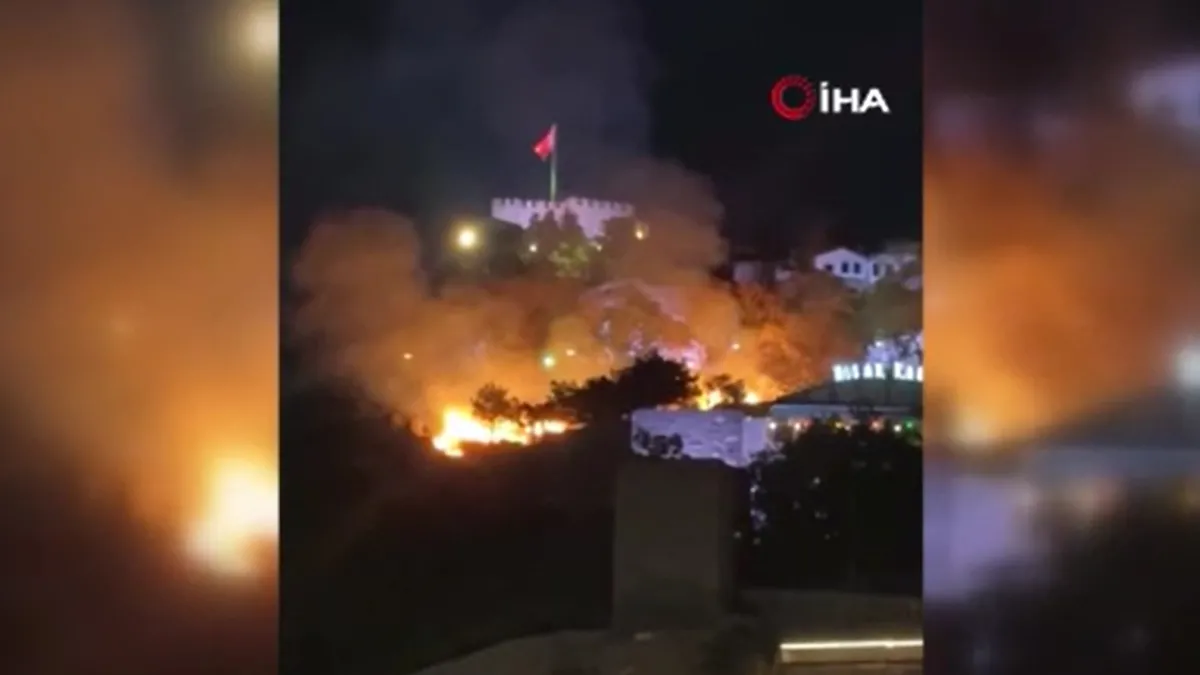 Ankara'da otluk alanda yangın çıktı