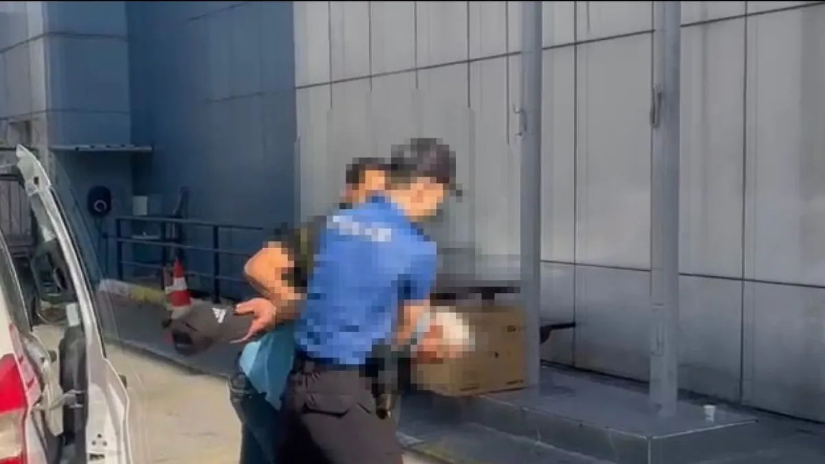 Avcılar'da köpeğe defalarca vurarak darp etmişti! Gözaltına alındı