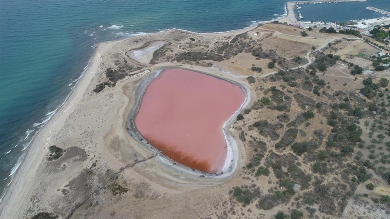 Her yıl oluyordu: Kalpli göl bu yıl pembe olmadı