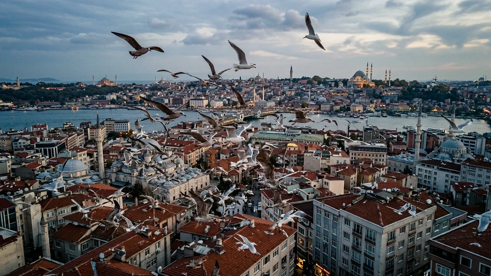 İstanbul'da artan martı sesleri: Uzmanlar yavru beslenme dönemine dikkat çekiyor | Güncel Haberler
