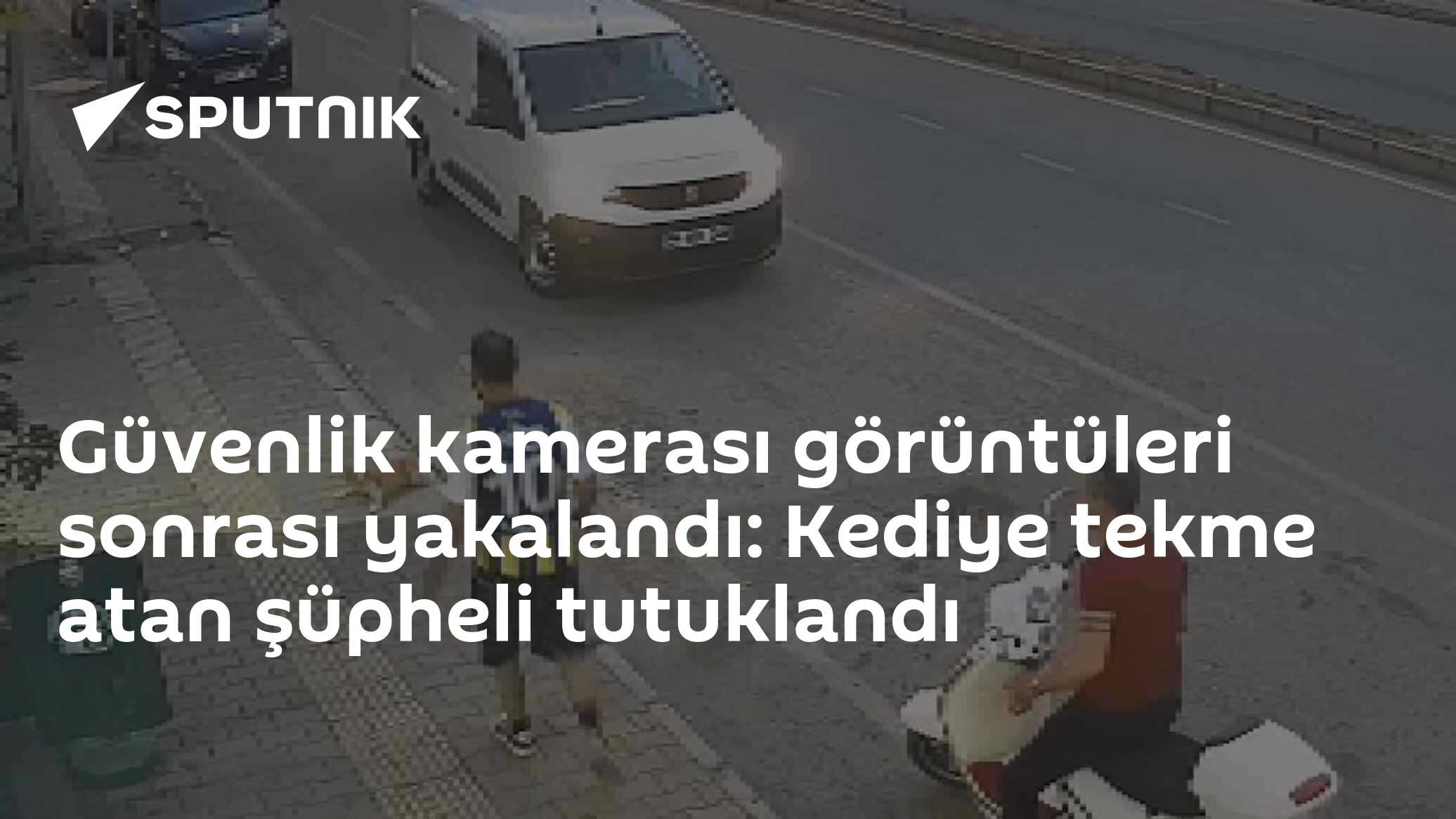 Güvenlik kamerası görüntüleri sonrası yakalandı: Kediye tekme atan şüpheli tutuklandı