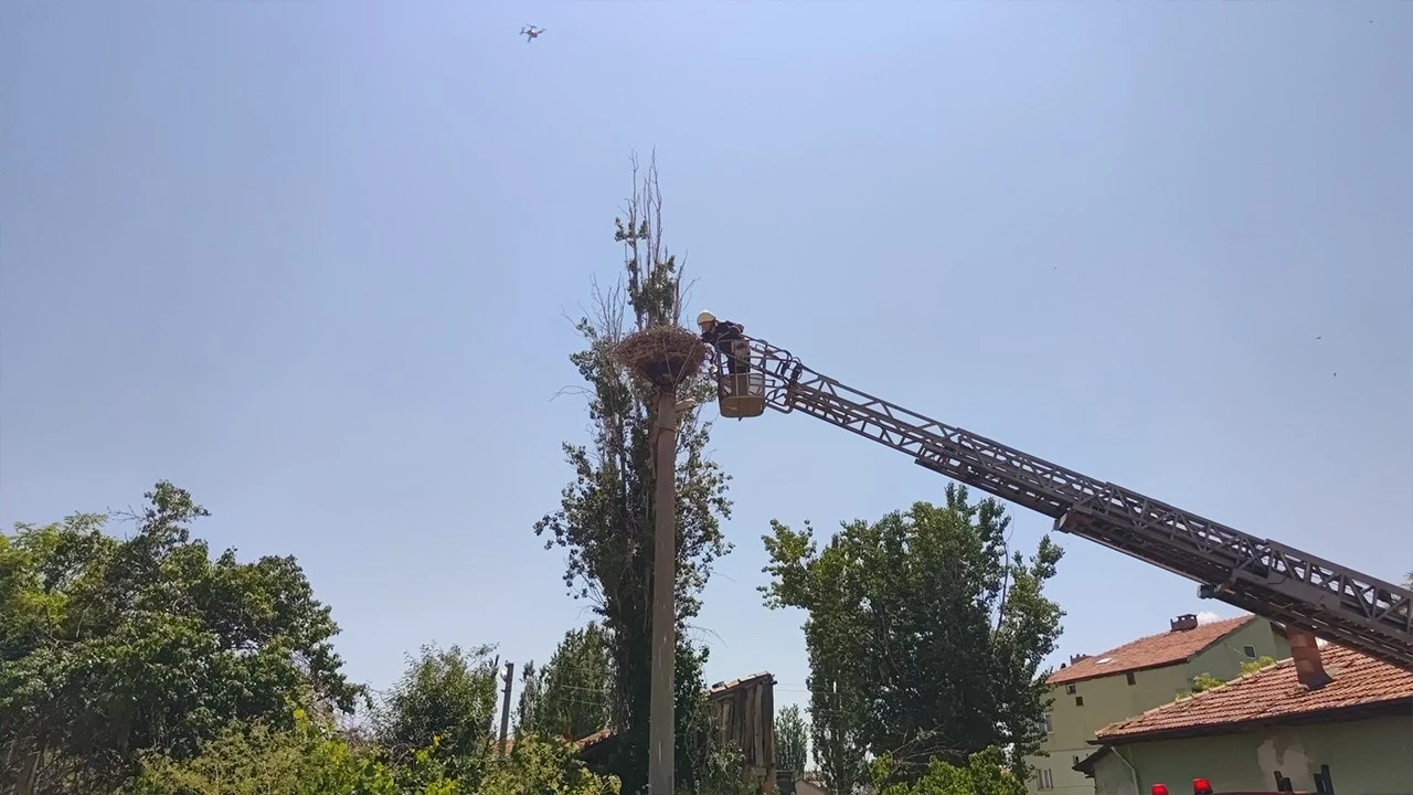 Gökyüzündeki özgürlüğü ipe dolandı: Yardımına itfaiye yetişti