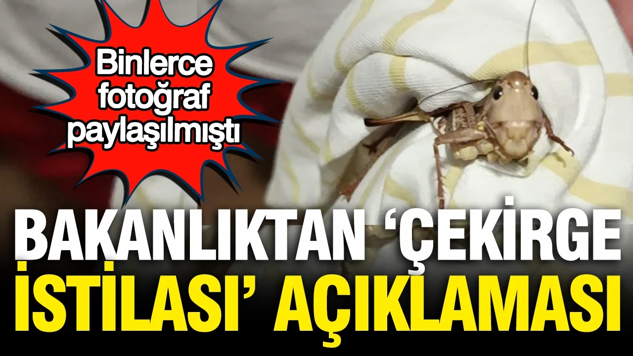 Tarım ve Orman Bakanlığı'ndan çekirge istilası açıklaması