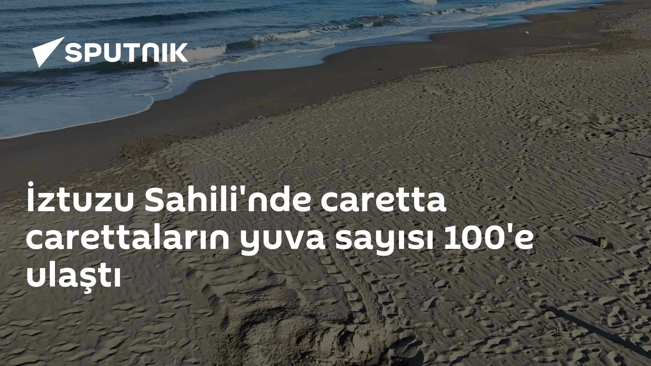 İztuzu Sahili'nde caretta carettaların yuva sayısı 100'e ulaştı