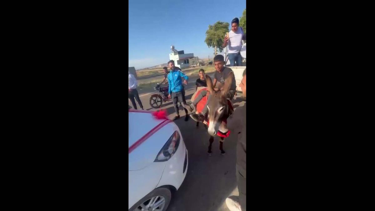 Çocuk çobanlar, eşekle düğün konvoyunun önünü kesip damattan bahşiş aldı