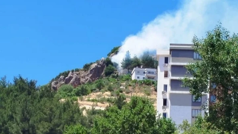 Kahramanmaraş'ta orman yangını