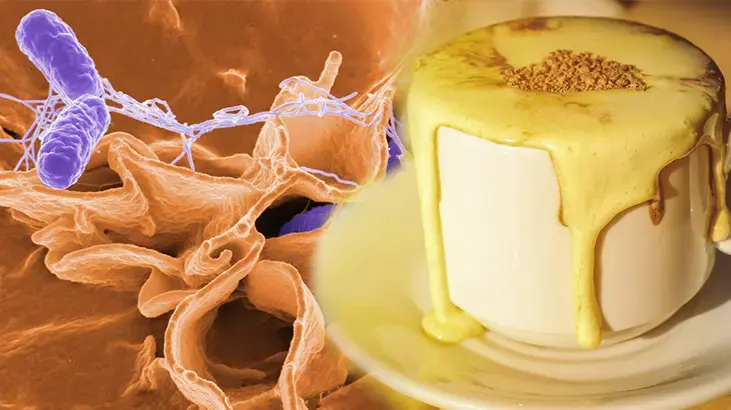 Dünyanın yeni takıntısı! Kahvenin içine çiğ yumurta kırıyorlar, tiramisu zanneden var... Peki güvenli mi?