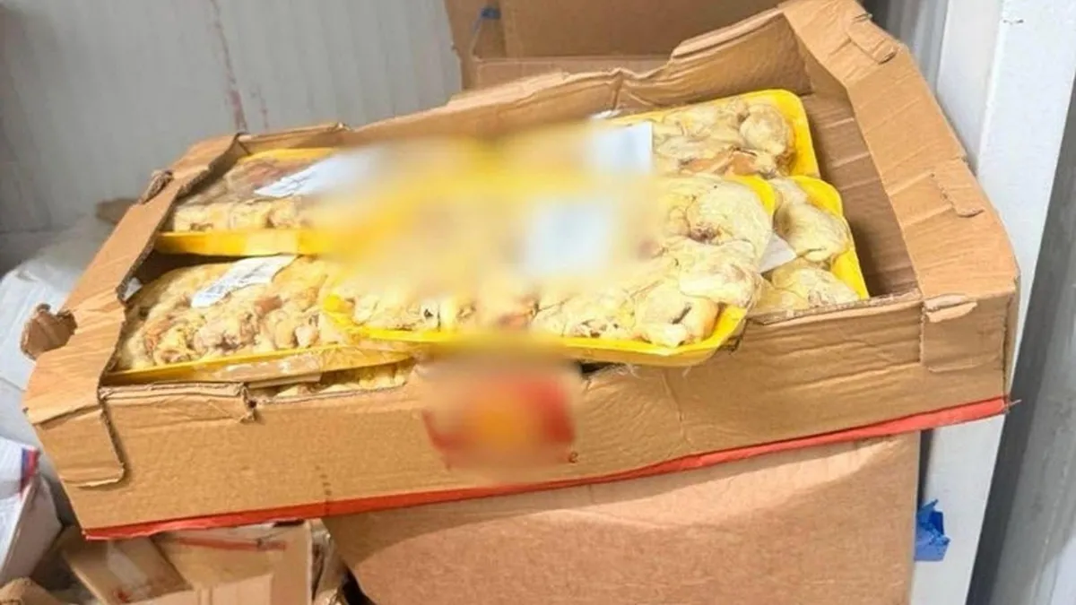 Bodrum'da bozuk gıda baskını! 1,2 ton tarihi geçmiş ürün imha edildi
