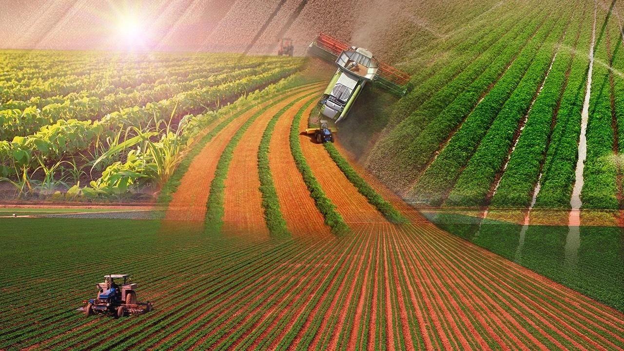 Türkiye dünyayı besleyen ülkeler arasında ilk 15'te