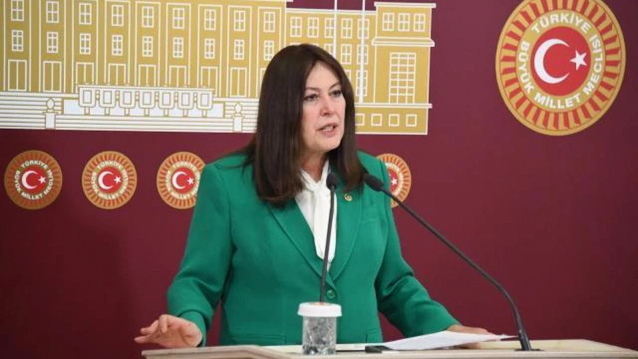İYİ Partili Şenol Sunat’tan okul güvenliği için kanun teklifi