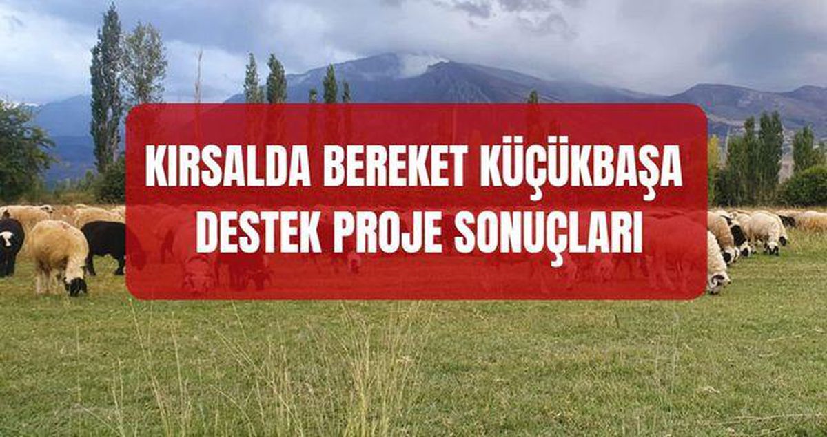 Kırsalda Bereket Küçükbaşa Destek Projesi Sonuçları (TAM İSİM LİSTESİ) Kırsalda Bereket Küçükbaşa Destek Proje sonuçları..