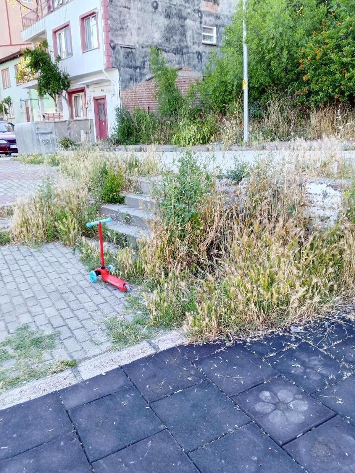 Otluk alana dönen bu park bakım ve temizlik bekliyor