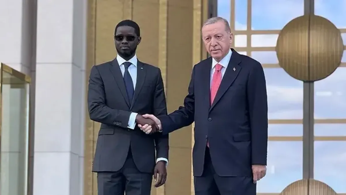 Başkan Erdoğan, Senegal Cumhurbaşkanı ile görüştü