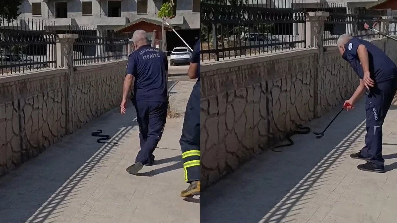 Adıyaman'da hastane bahçesinde yılan alarmı: İtfaiye ekipleri doğaya saldı
