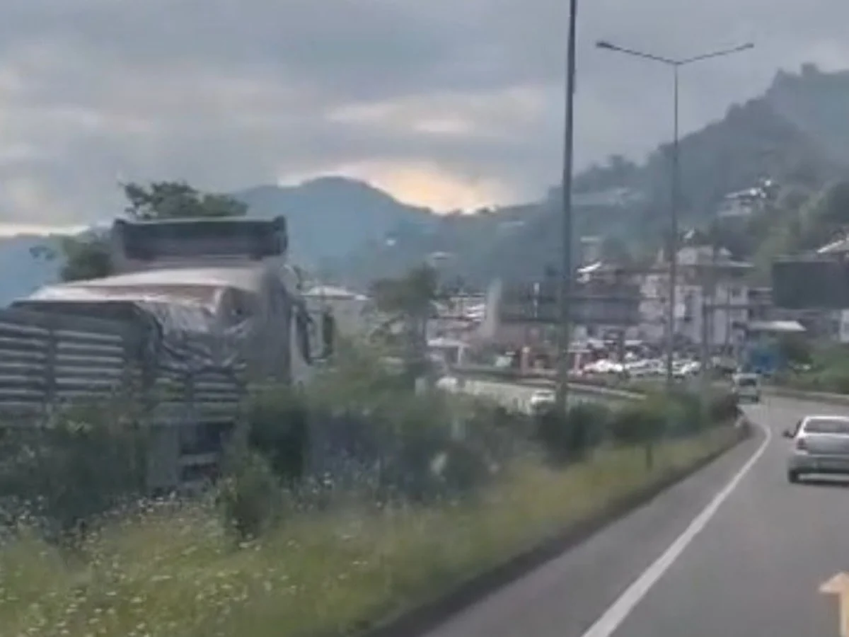 Karadeniz Sahil Yolu'nda ters şeritte giden kamyon panik yarattı