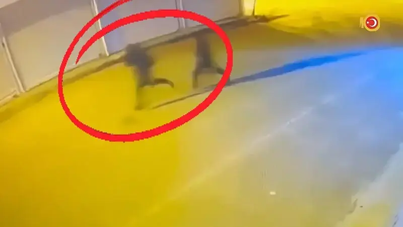 Diyarbakır’da çıkar amaçlı silahlı suç örgütüne operasyon: 15 tutuklama