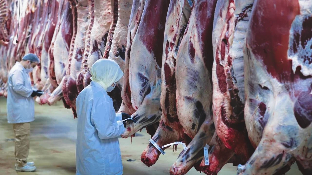 Hayvan kesiminde yeni dönem: Kurallar sil baştan