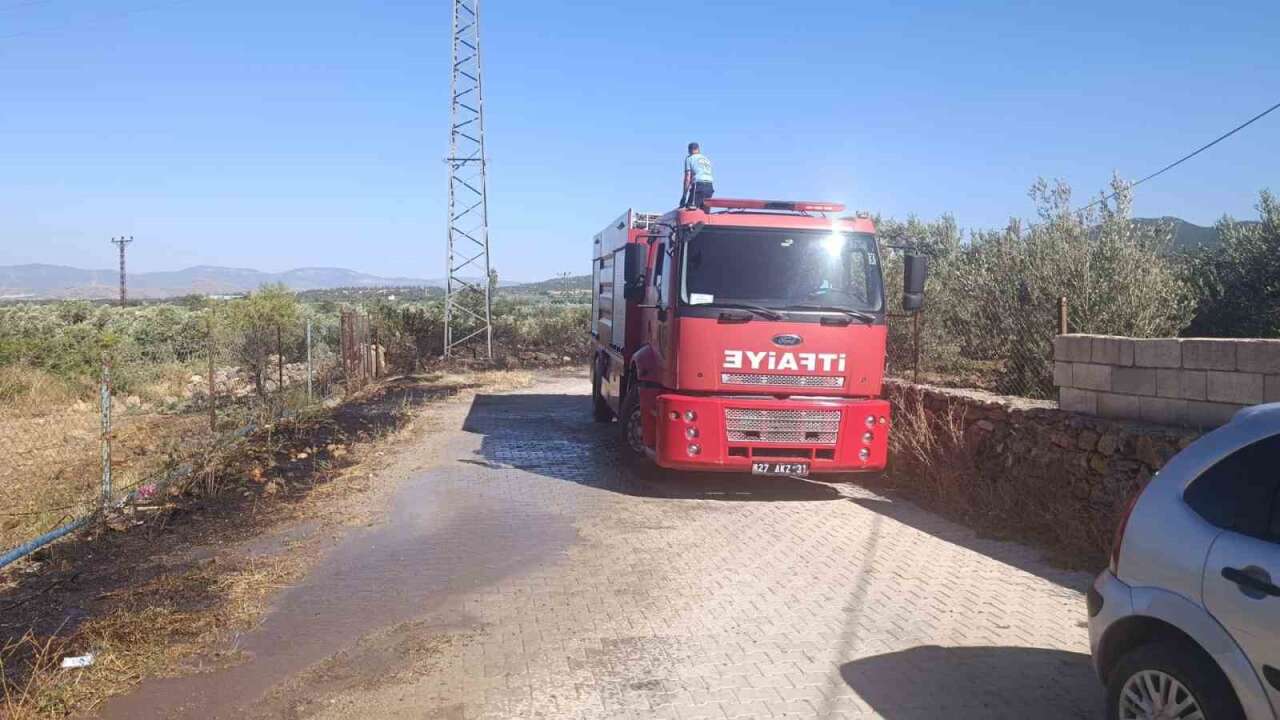 Gaziantep'te zeytinlik alarmı! Otluk alanda çıkan yangın ağaçlara sıçradı