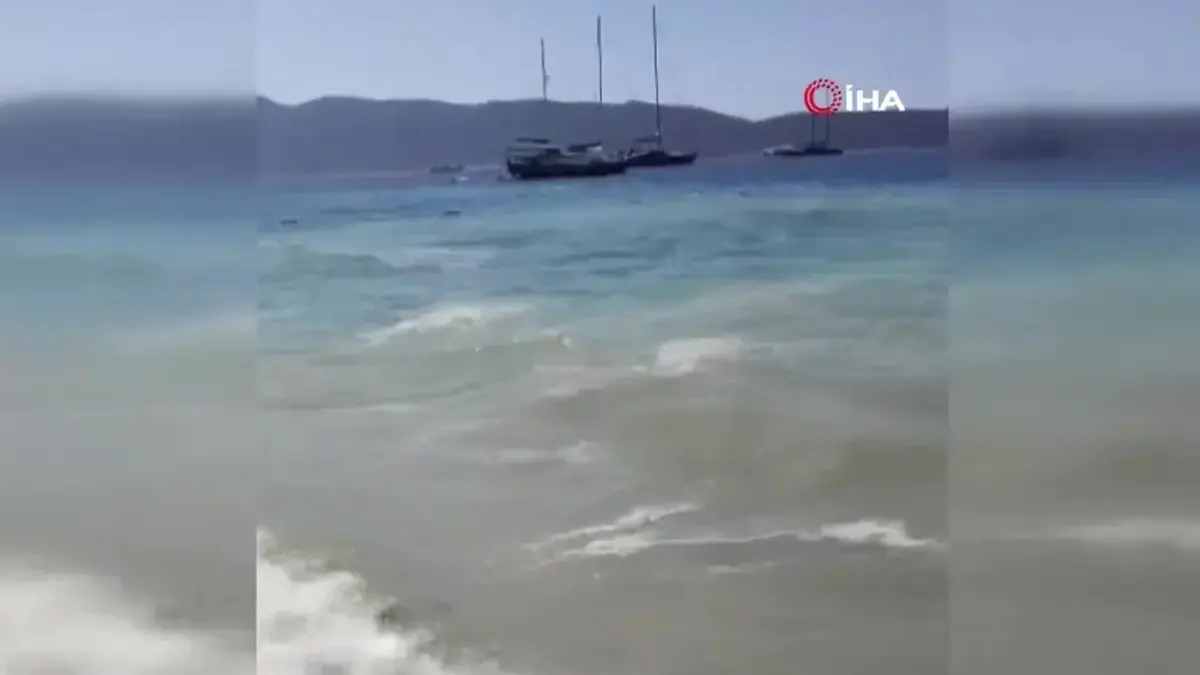 Bodrum'da deniz kirliliği: Başsavcılık soruşturma başlattı
