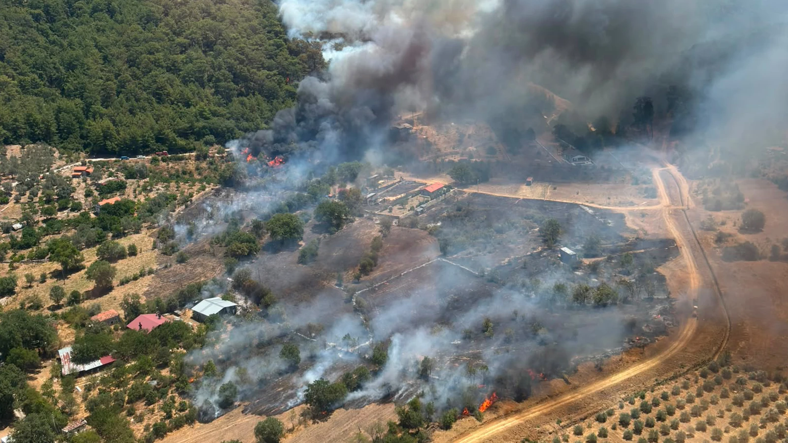 Afyonkarahisar, Muğla ve Antalya'da orman yangını