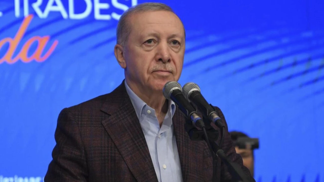 Elif Çakır: Erdoğan AK Parti'deki rehavetten rahatsız