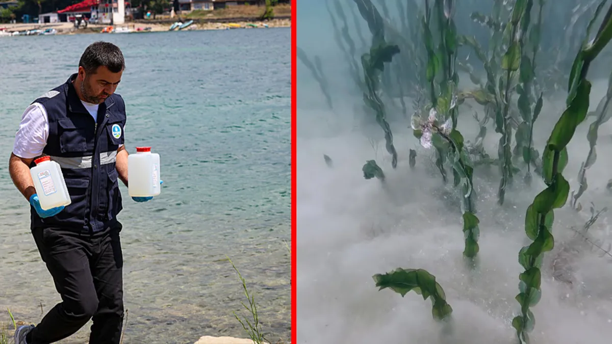 Sapanca Gölü’nün derinliklerinde görüldü: Pamuksu madde için açıklama geldi!