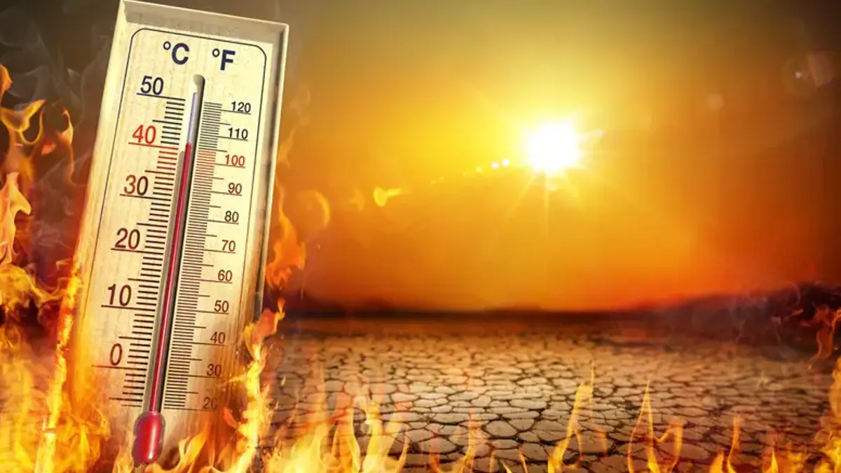 Avrupa kavruluyor: Ölümcül sıcakların gerçek nedeni El Nino Değil, iklim krizi