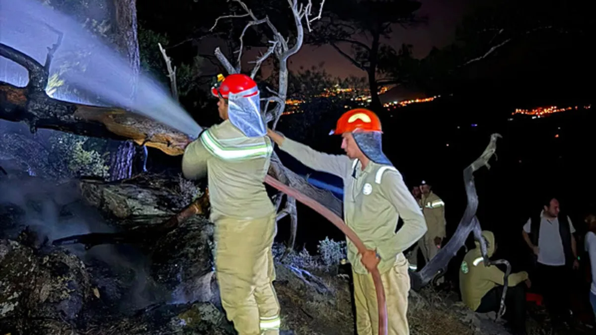 Muğla Köyceğiz'deki yangın söndürüldü