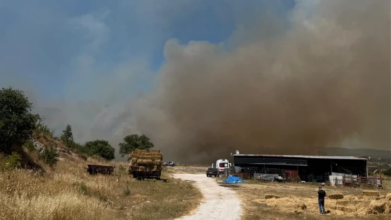 Çanakkale'de bozuk orman alanında çıkan yangın kontrol altına alındı