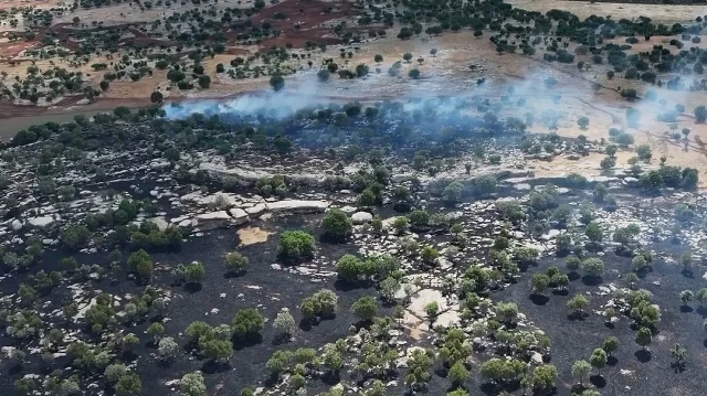 Diyarbakır'ın Eğil ilçesinde çıkan örtü yangını söndürüldü