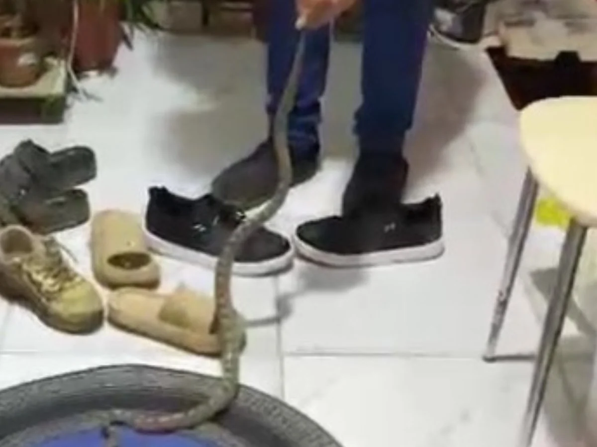 Antalya'da evine girdiği yılan ile konuşması güldürdü