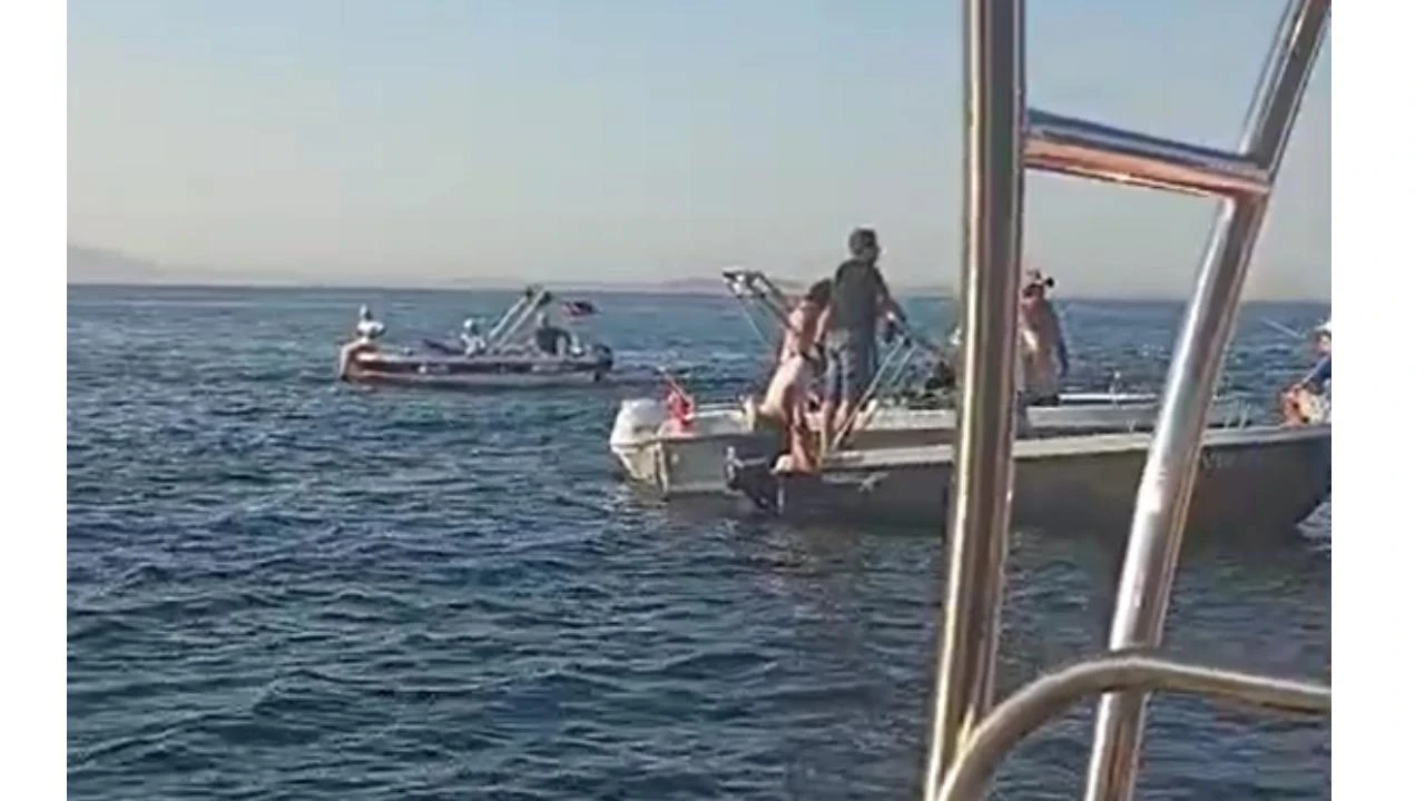 Yalova açıklarında su tankeri tekneye çarptı: 2 kişi denize atlayarak kurtuldu
