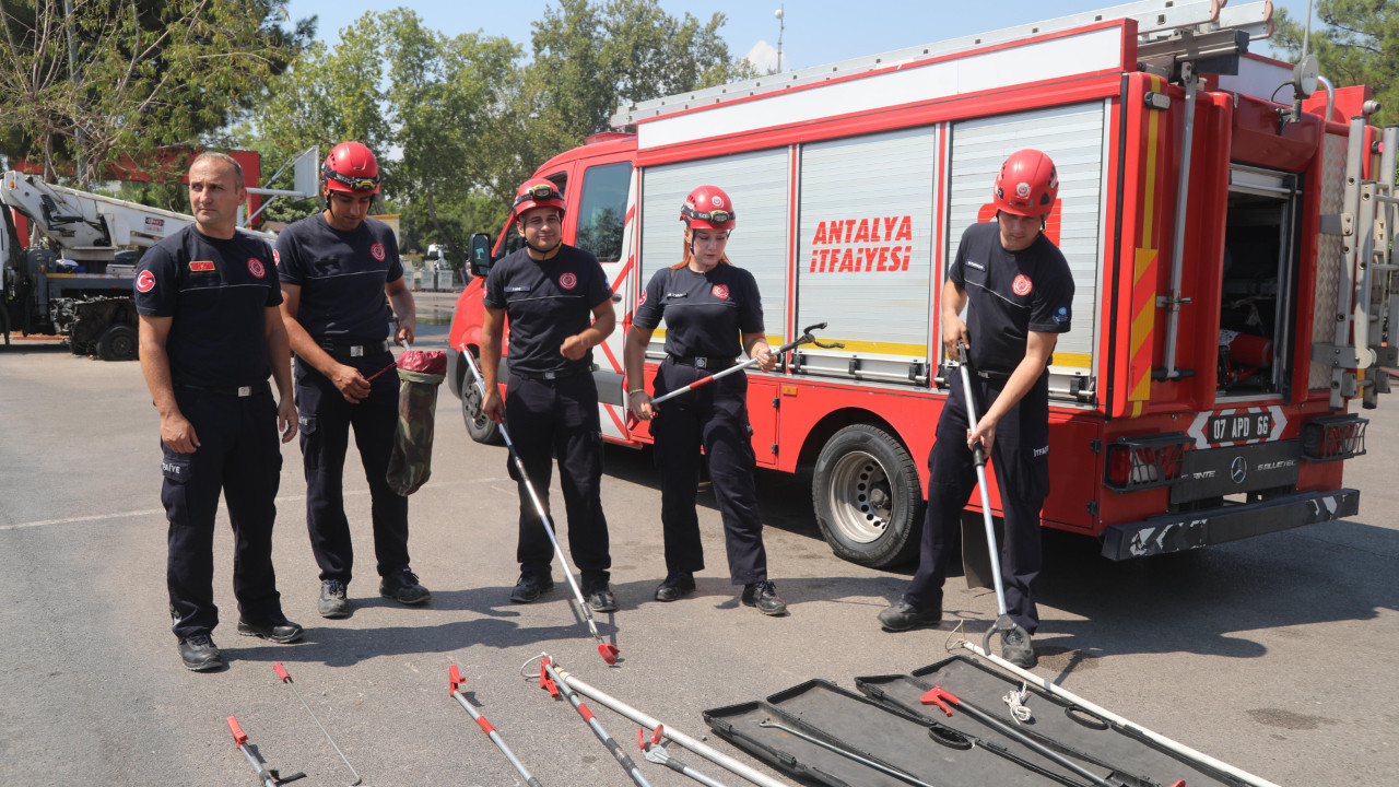 Antalya'da sıcak hava yılanları harekete geçirdi