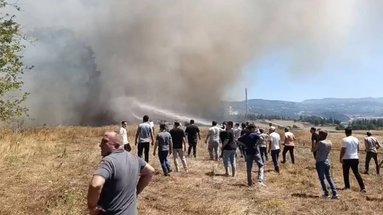 Bursa’daki yangın faciasında 3 dönüm arazi zarar gördü