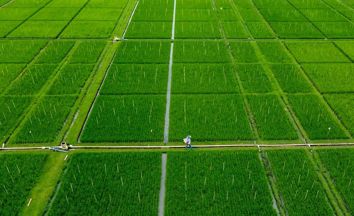 Filipinler, El Nino Kaynaklı Kuraklığa Karşı Bulut Tohumlama Yöntemine Başvuracak