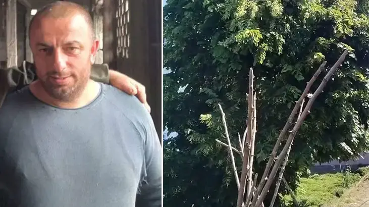 Rize'de budamaya çıktığı ağaçta akıma kapılıp kişi öldü