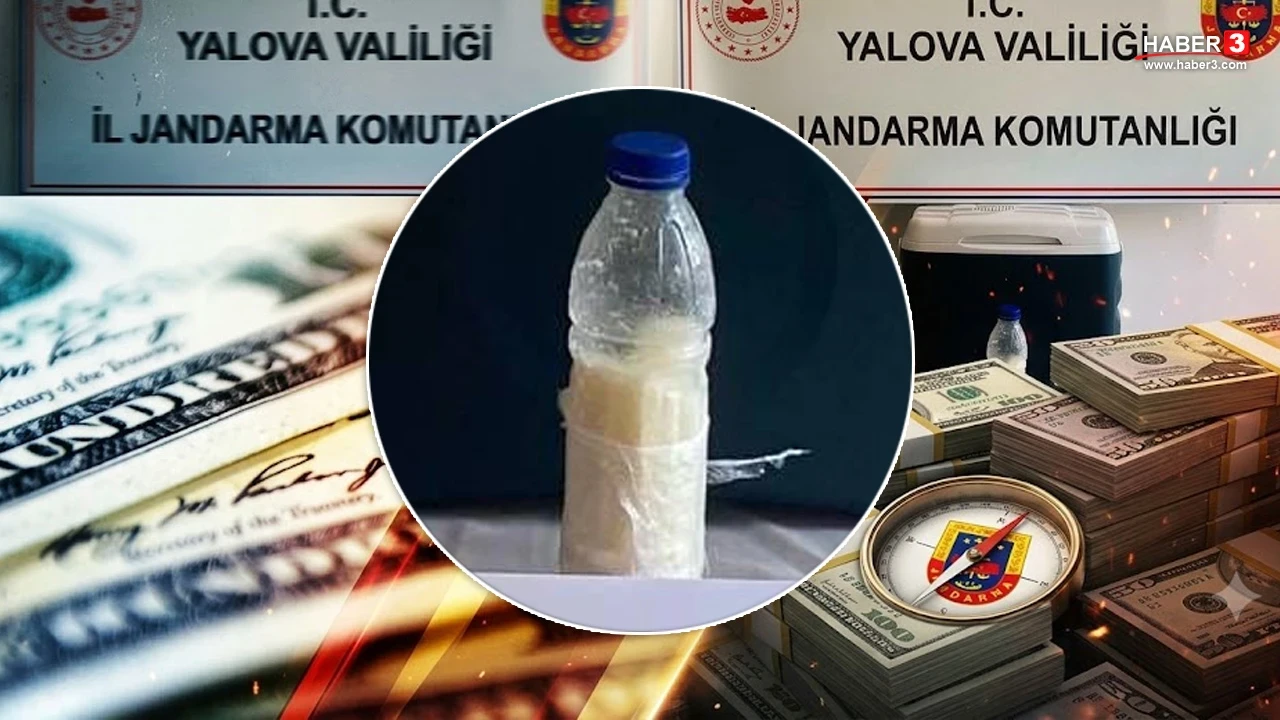 5 milyon dolarlık operasyon! Suriye'den Türkiye'ye kaçak olarak getirilmiş!