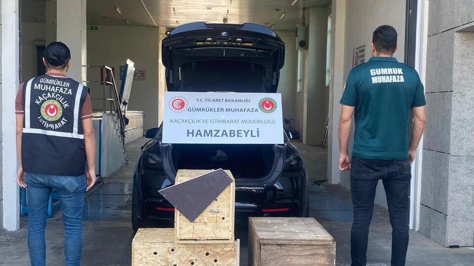 Ticaret Bakanlığı Gümrükler Muhafaza ekipleri 4 yaban hayvanını kurtardı
