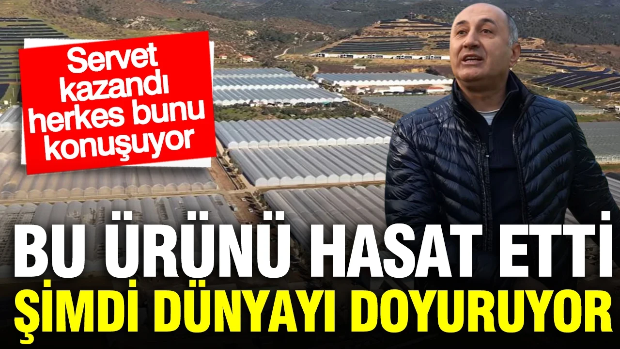 O ürünü hasat etti, şimdi servet kazanıyor: Bu sera dünyayı doyuruyor