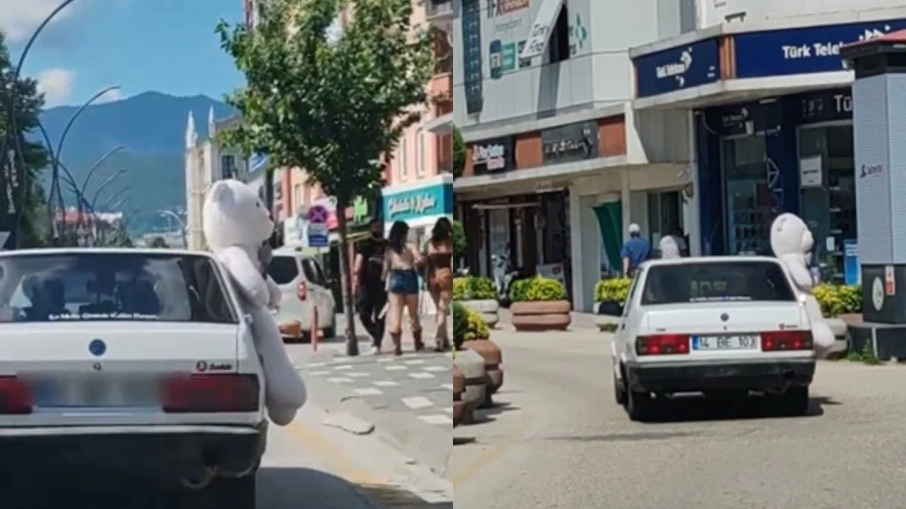 Pelüş ayı ile kentte tur attı! Bu yaptığı ona pahalıya patladı