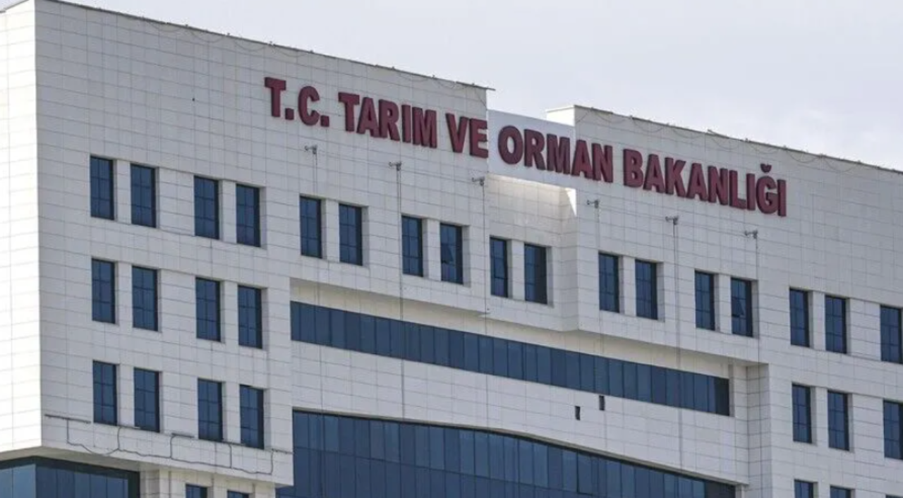 Tarım ve Orman Bakanlığı sözleşmeli personel alımı başvuruları yarın başlıyor! Başvuru şartları ve branş dağılımı